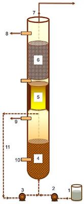 Enhanced Methanization of Long-Chain Fatty Acid Wastewater at 20°C in the Novel Dynamic Sludge Chamber–Fixed Film Bioreactor